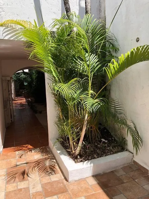 Studio Pequeno En Cancun Apartment